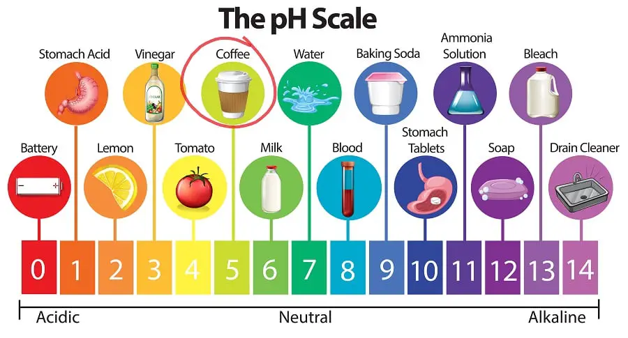 coffee ph acidity