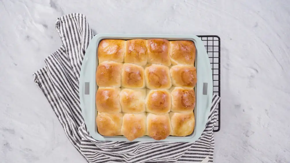 Dinner Rolls