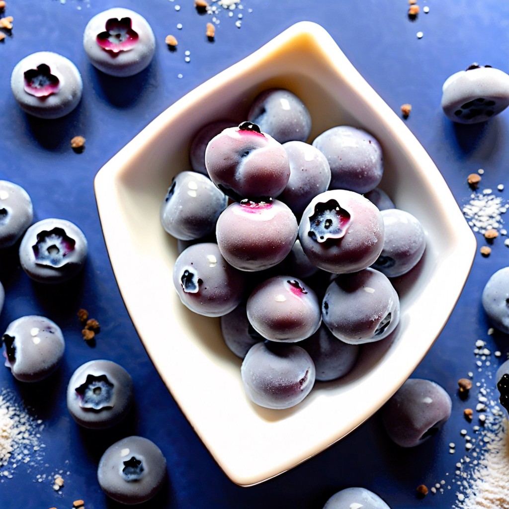 frozen blueberries with isagenix isapro vanilla shake powder